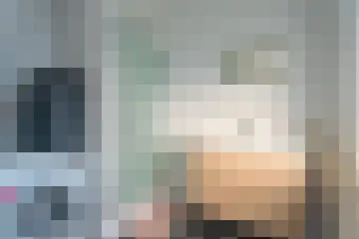 Woestijnvalk 22 Valkenburg thumbnail 15