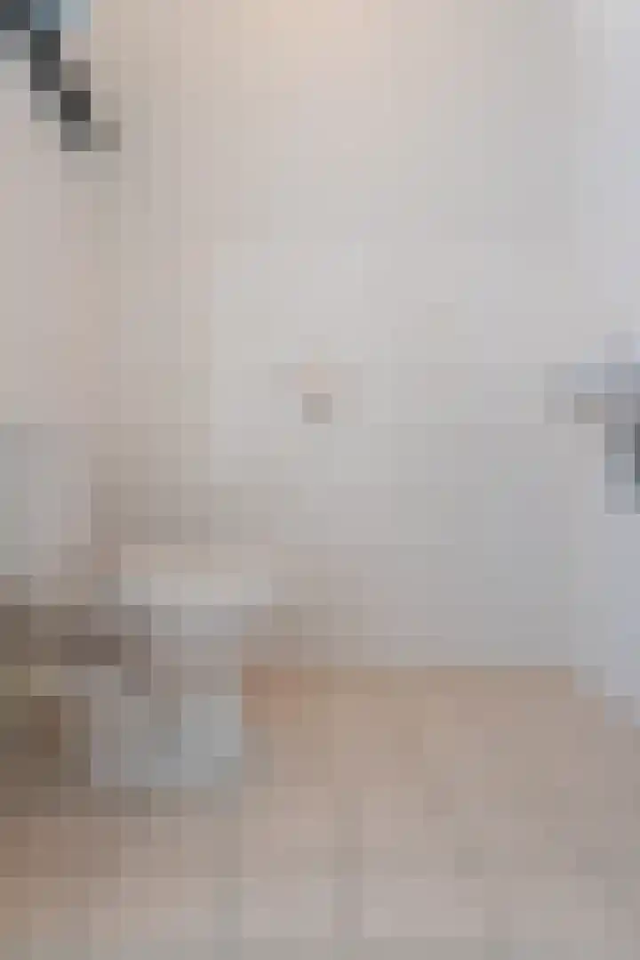 Woestijnvalk 22 Valkenburg thumbnail 18
