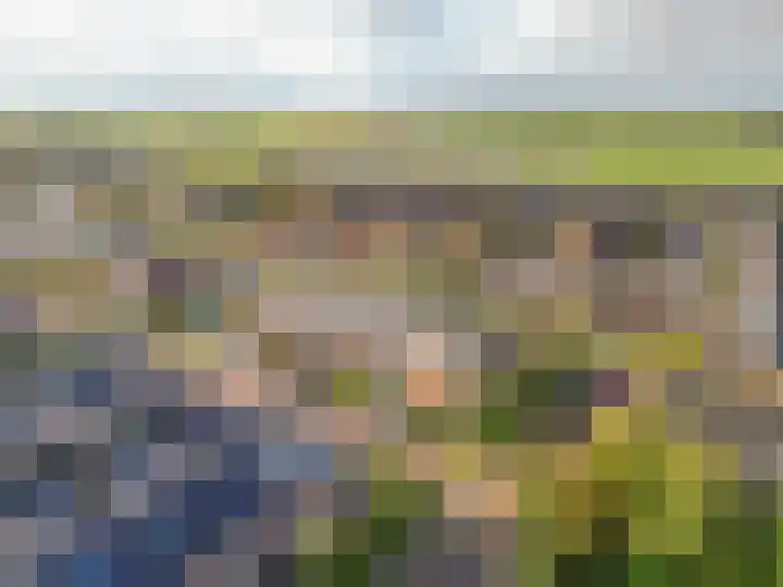 Woestijnvalk 22 Valkenburg thumbnail 21