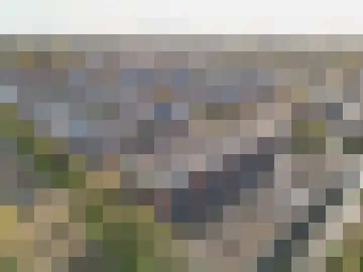 Woestijnvalk 22 Valkenburg thumbnail 22