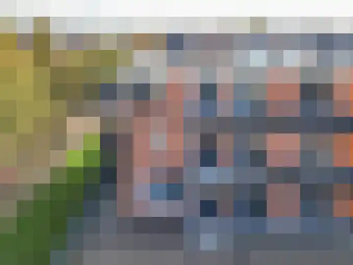 Woestijnvalk 22 Valkenburg thumbnail 23