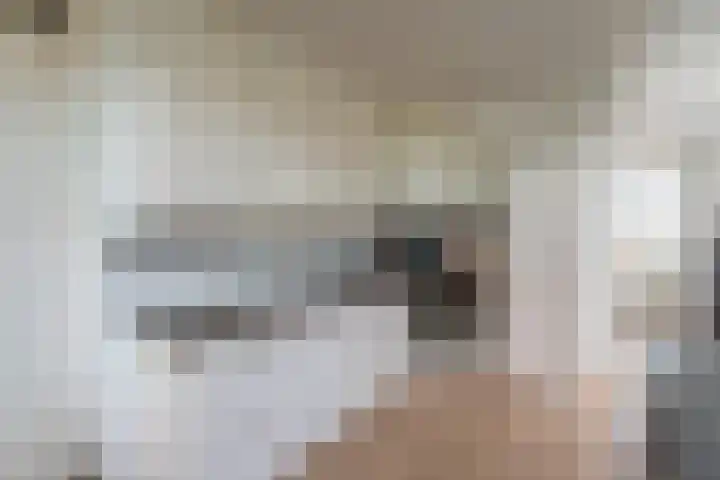 Woestijnvalk 22 Valkenburg thumbnail 6