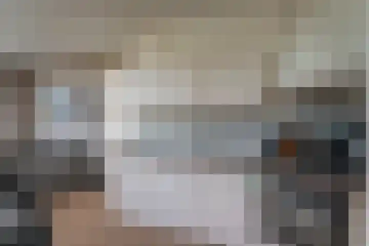 Woestijnvalk 22 Valkenburg thumbnail 7