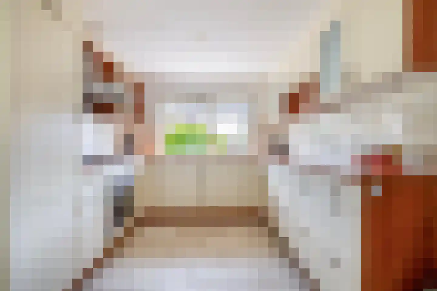 Woestijnvaraan 17 Heerhugowaard thumbnail 12