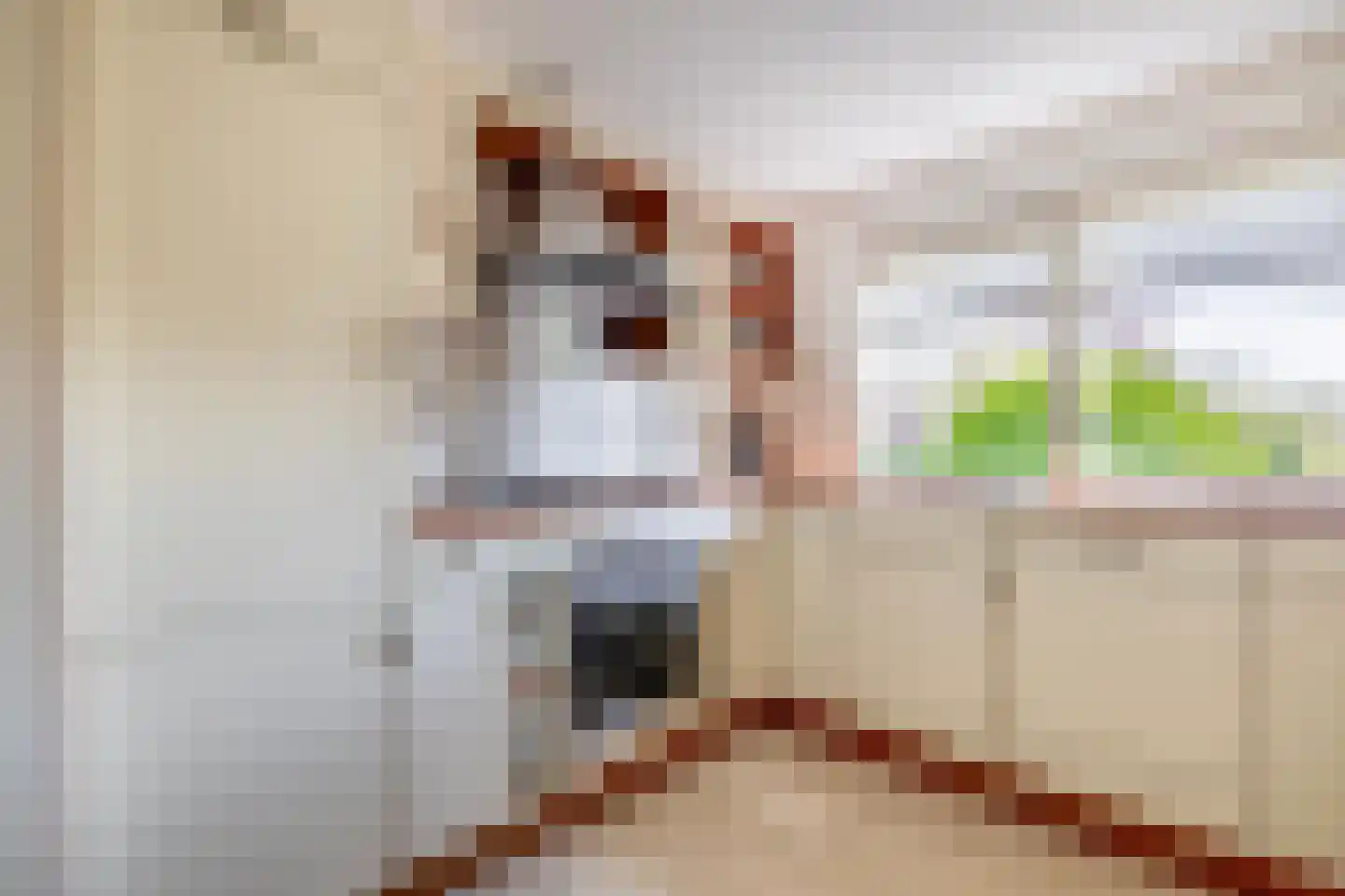 Woestijnvaraan 17 Heerhugowaard thumbnail 13