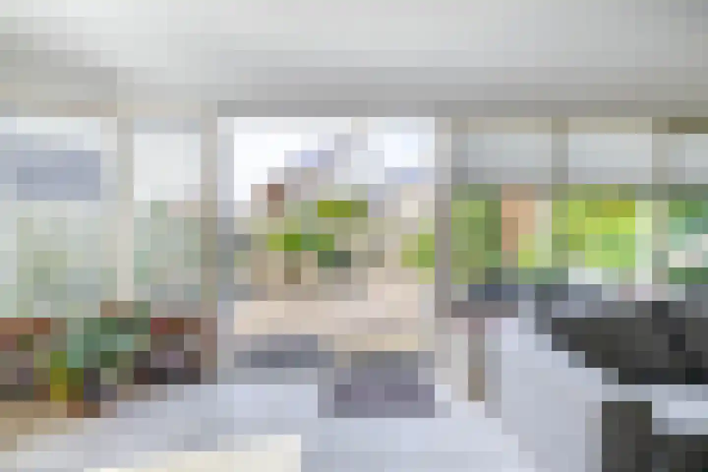 Woestijnvaraan 17 Heerhugowaard thumbnail 16