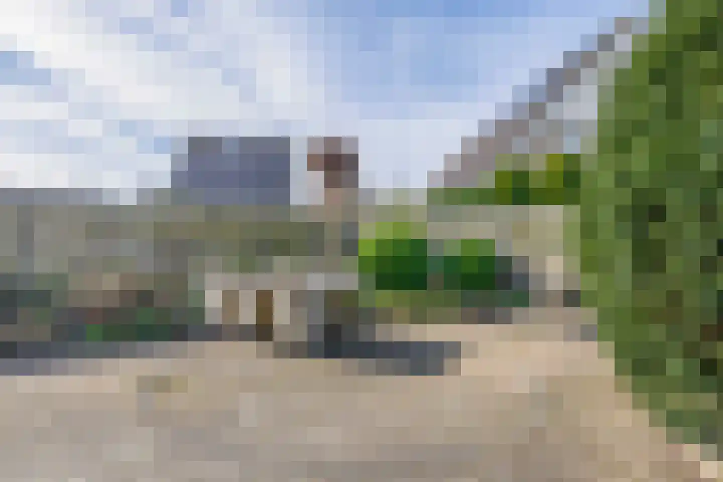 Woestijnvaraan 17 Heerhugowaard thumbnail 18