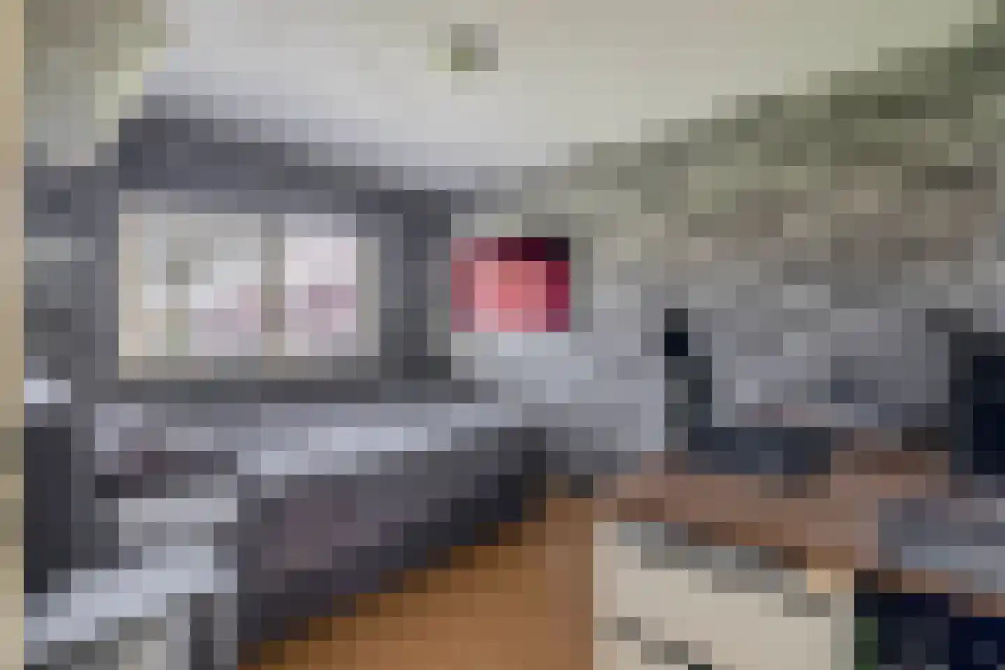 Woestijnvaraan 17 Heerhugowaard thumbnail 27