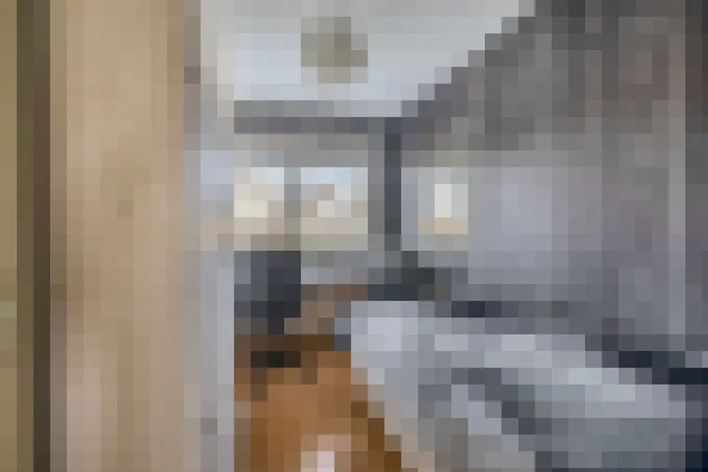 Woestijnvaraan 17 Heerhugowaard thumbnail 28
