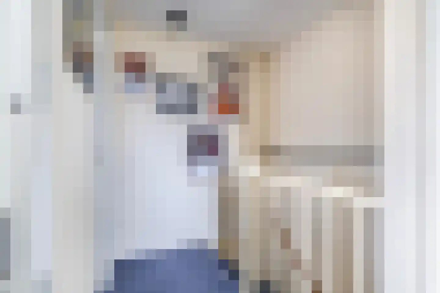 Woestijnvaraan 17 Heerhugowaard thumbnail 29