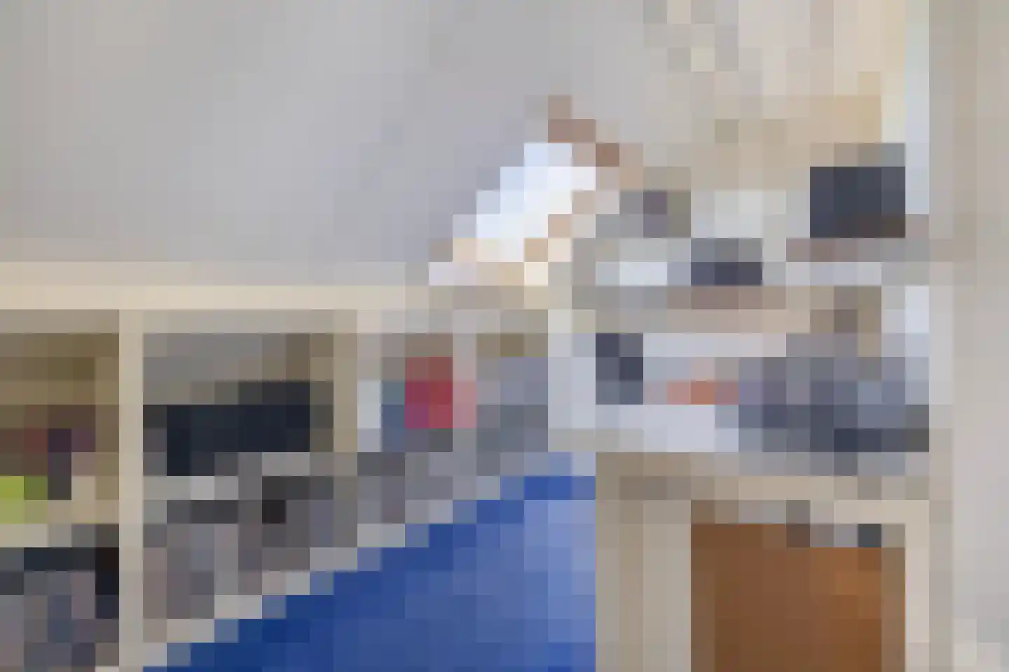 Woestijnvaraan 17 Heerhugowaard thumbnail 31
