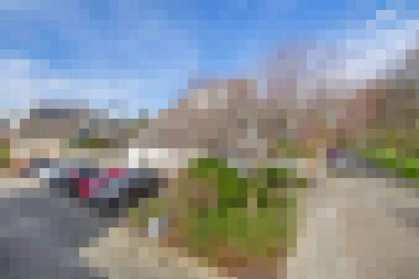 Woestijnvaraan 17 Heerhugowaard thumbnail 33