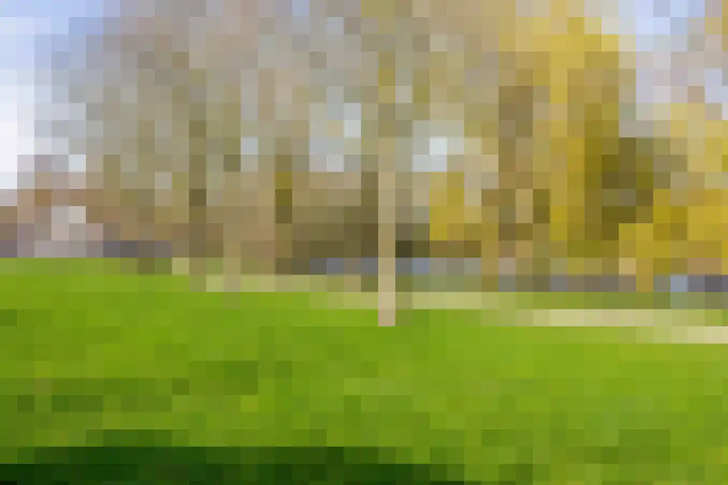 Woestijnvaraan 17 Heerhugowaard thumbnail 34