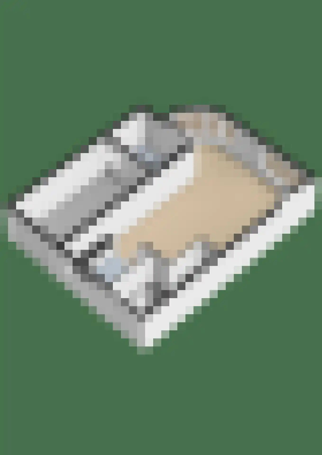Woestijnvaraan 17 Heerhugowaard thumbnail 36