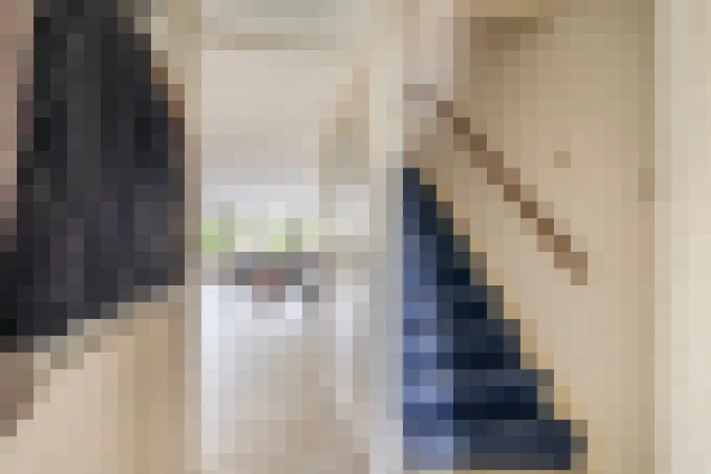 Woestijnvaraan 17 Heerhugowaard thumbnail 6
