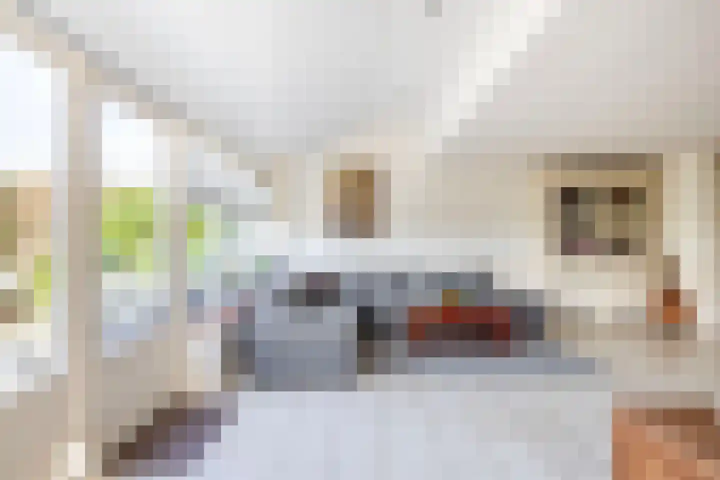 Woestijnvaraan 17 Heerhugowaard thumbnail 8