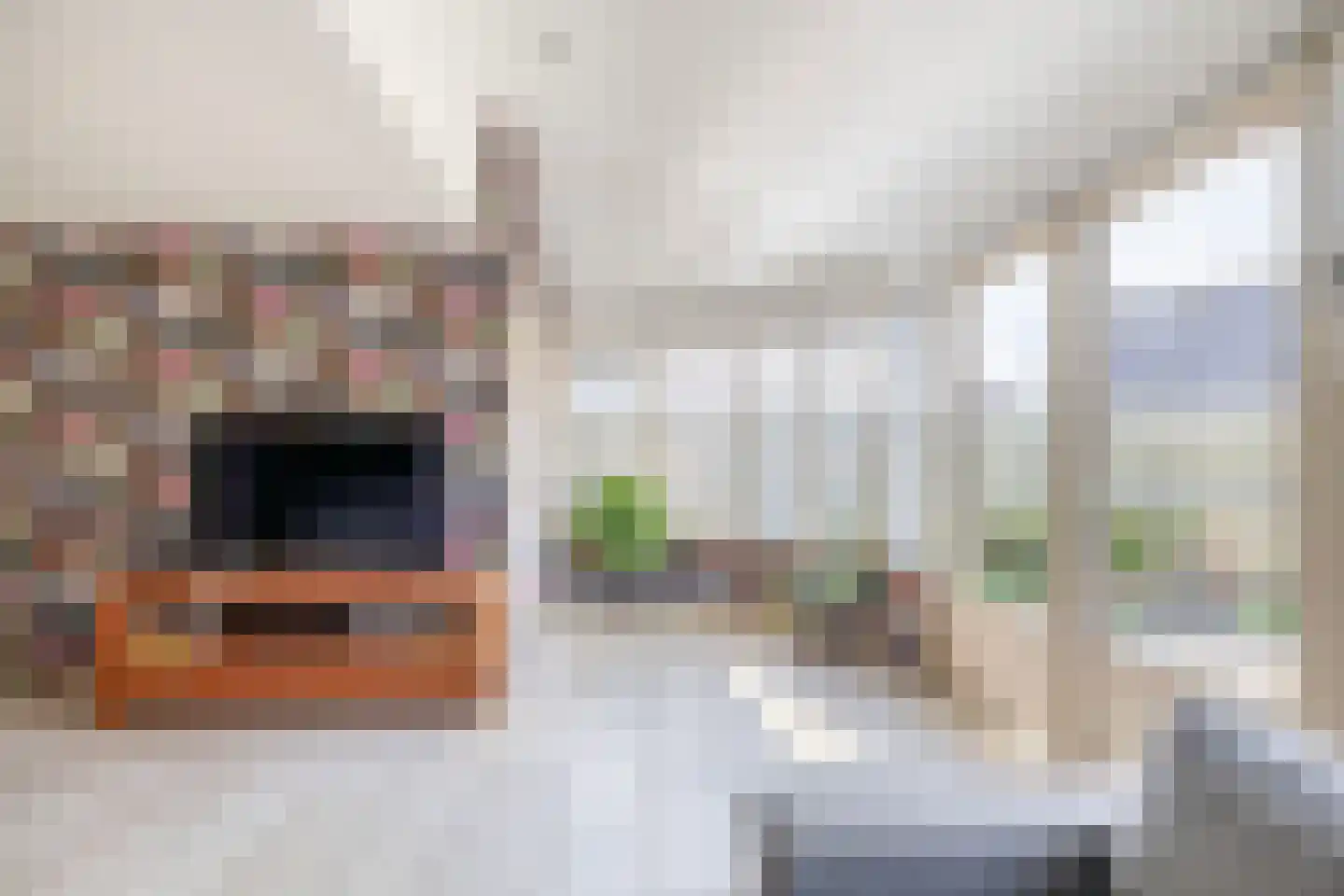 Woestijnvaraan 17 Heerhugowaard thumbnail 9