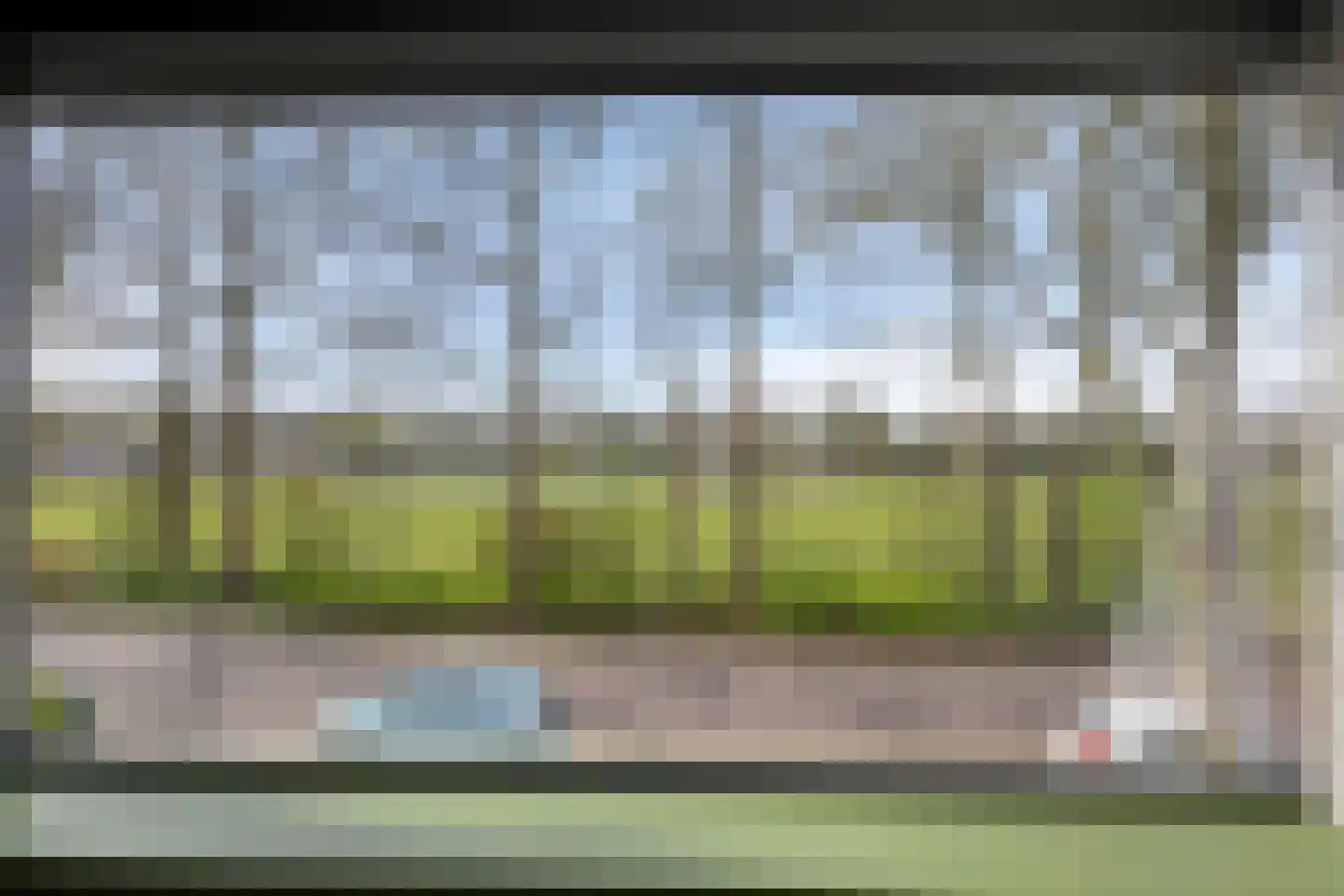 Woestijnweg 118 Vaassen thumbnail 14