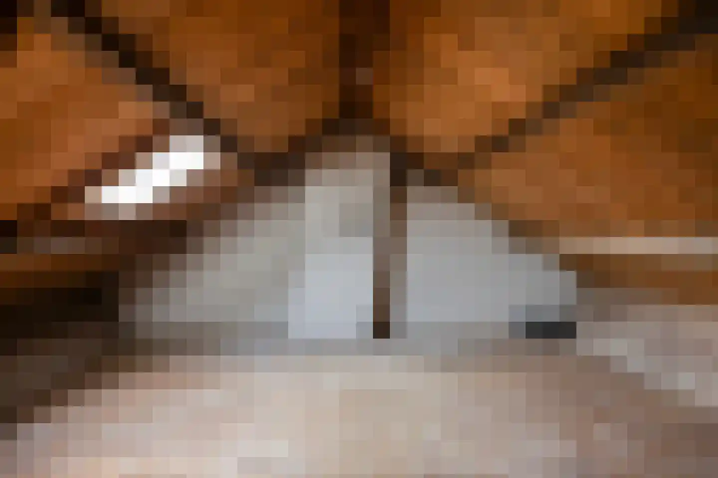Woestijnweg 118 Vaassen thumbnail 23