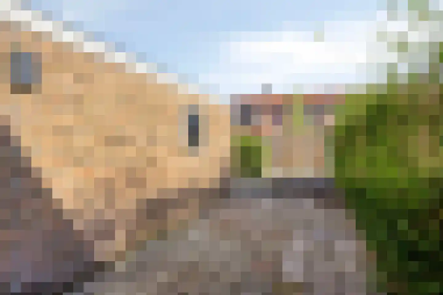 Woestijnweg 118 Vaassen thumbnail 25