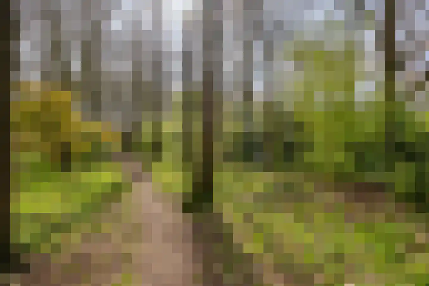 Woestijnweg 118 Vaassen thumbnail 30