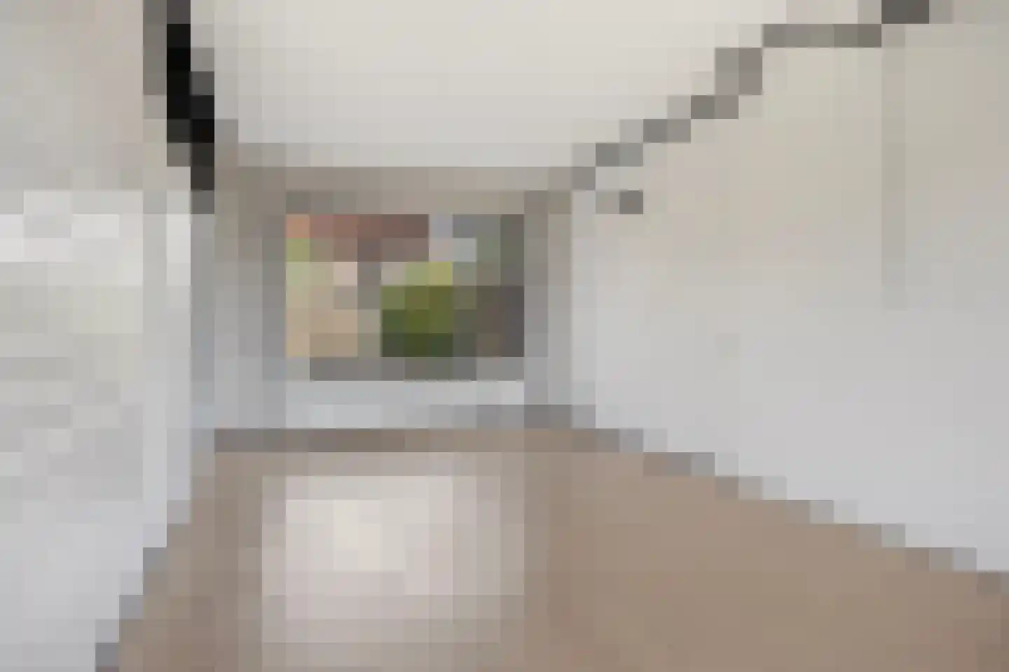 Woestijnweg 118 Vaassen thumbnail 6
