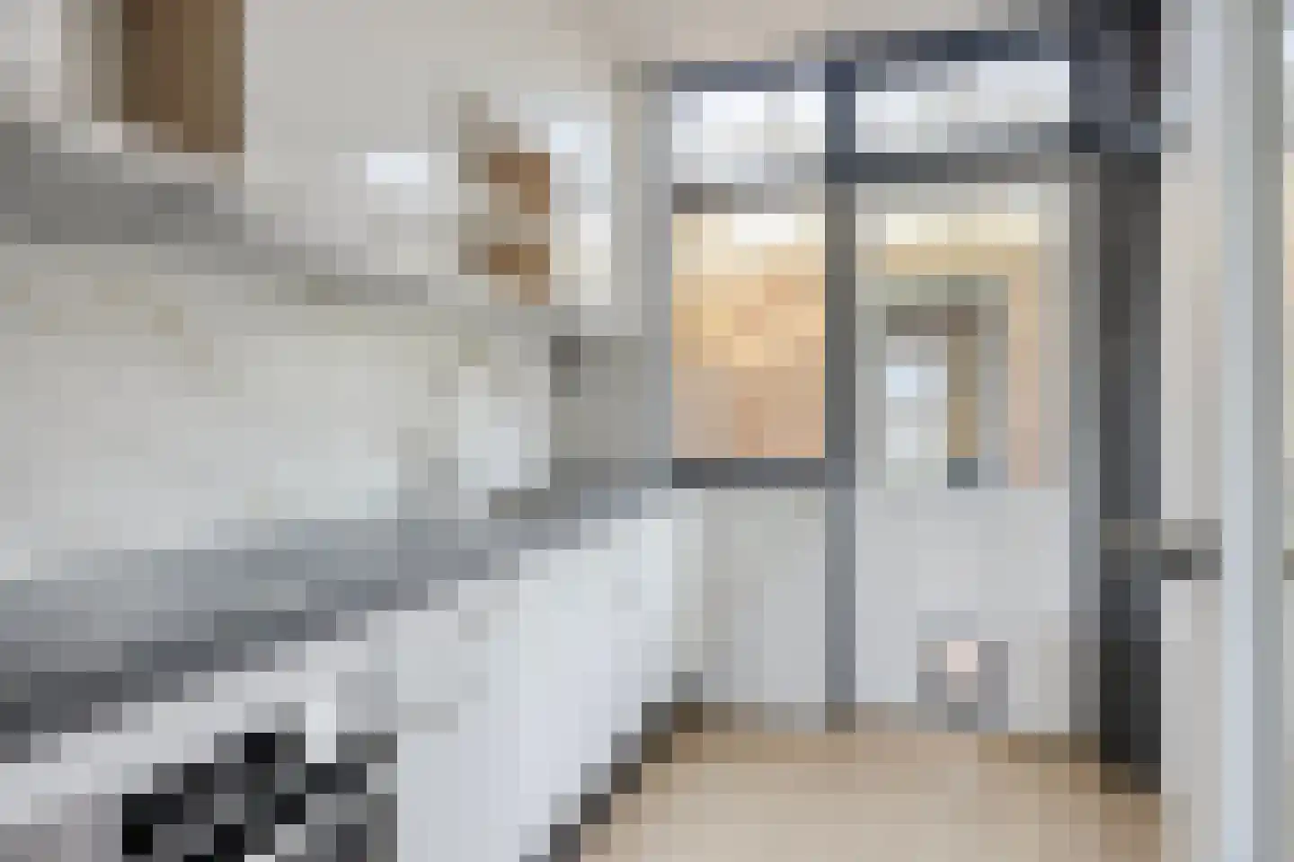 Woestijnweg 118 Vaassen thumbnail 8