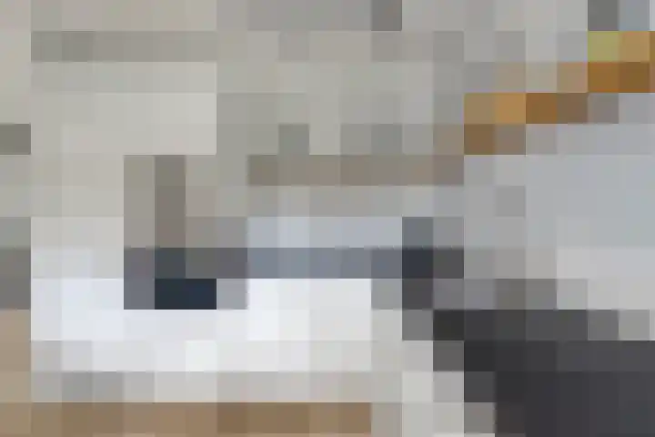 Woestijnweg 28 Vaassen thumbnail 11