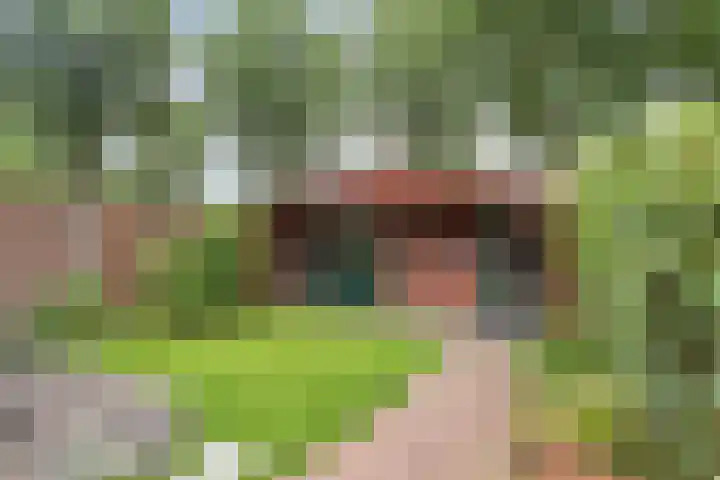Woestijnweg 28 Vaassen thumbnail 26