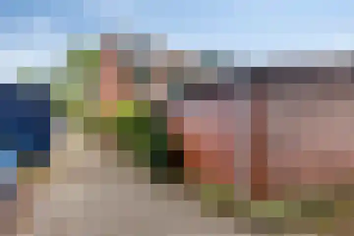 Woestijnweg 28 Vaassen thumbnail 29