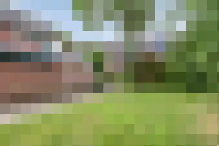 Woestijnweg 28 Vaassen thumbnail 30