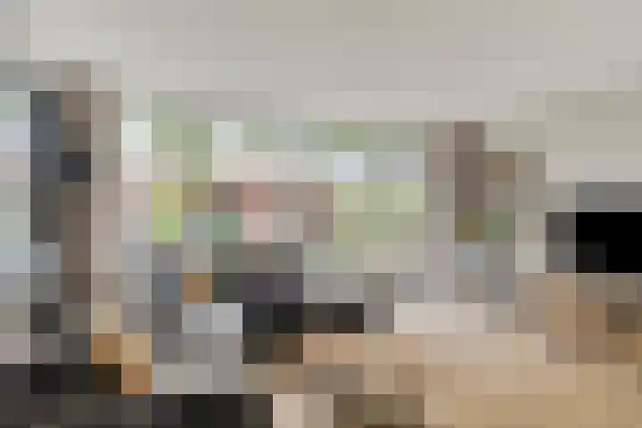 Woestijnweg 28 Vaassen thumbnail 6