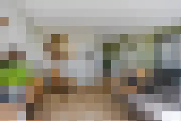 Woestijnweg 28 Vaassen thumbnail 8