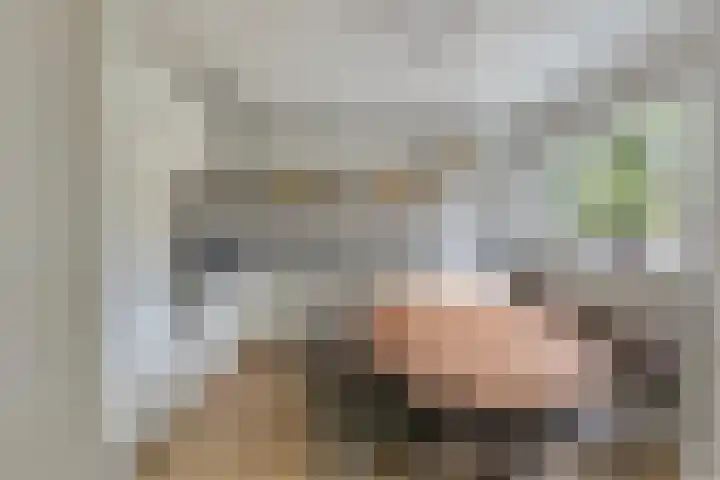 Woestijnweg 28 Vaassen thumbnail 9