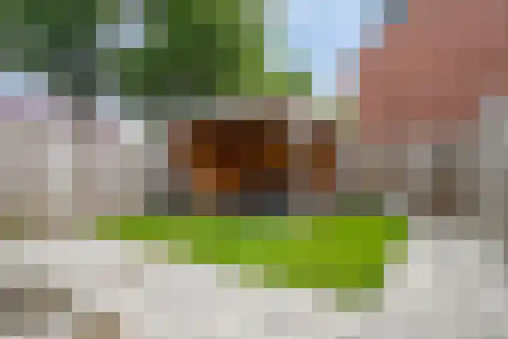 Woestijnweg 38 Vaassen thumbnail 30