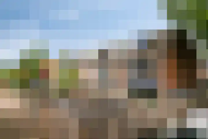Woestijnweg 38 Vaassen thumbnail 33