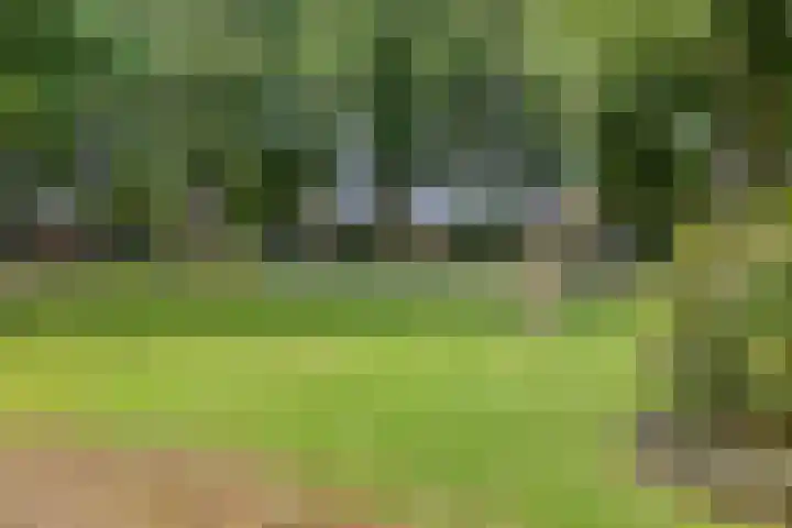 Woestijnweg 38 Vaassen thumbnail 36