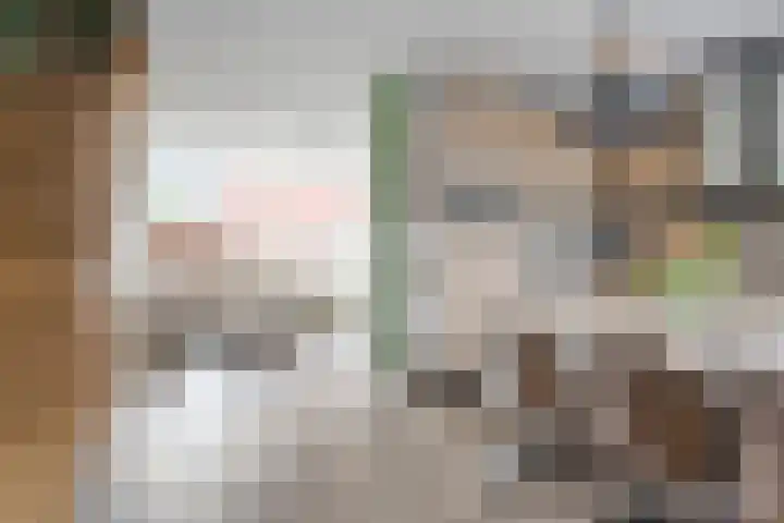 Woestijnweg 38 Vaassen thumbnail 6