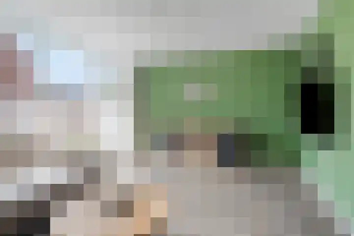 Woestijnweg 38 Vaassen thumbnail 8