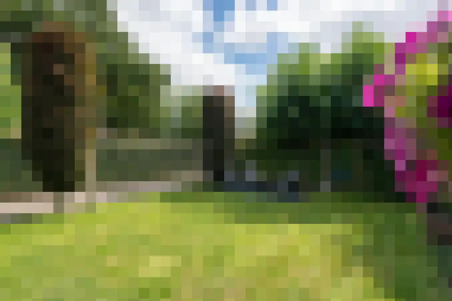 Woestijnweg 5 Vaassen thumbnail 34
