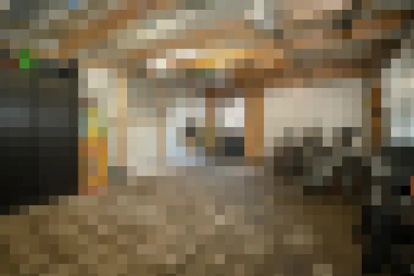 Woestijnweg 5 Vaassen thumbnail 40