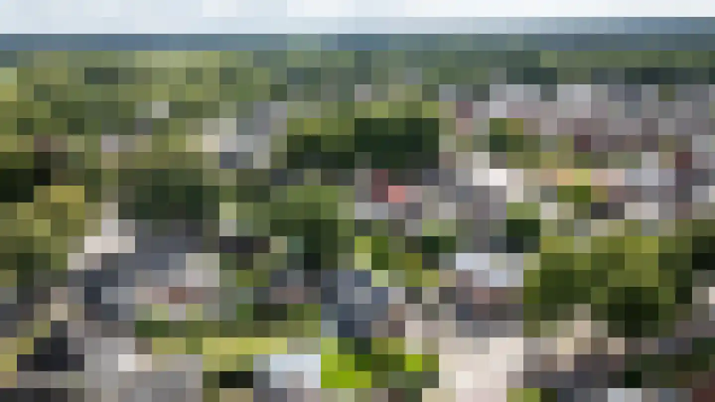 Woestijnweg 5 Vaassen thumbnail 46