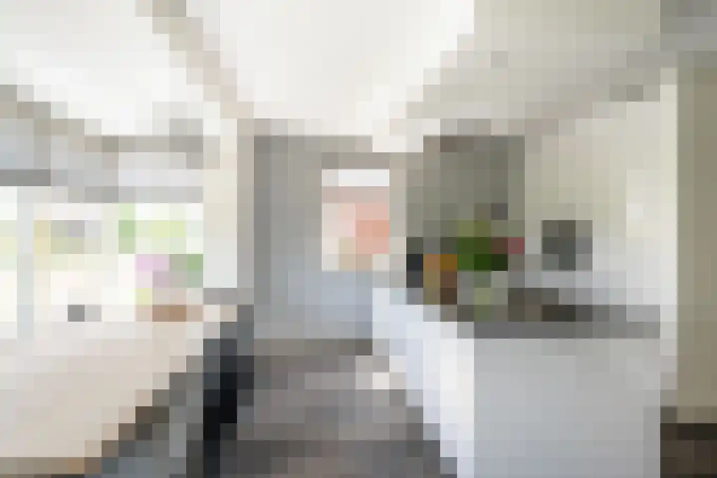 Woestijnzand 9 Naaldwijk thumbnail 13