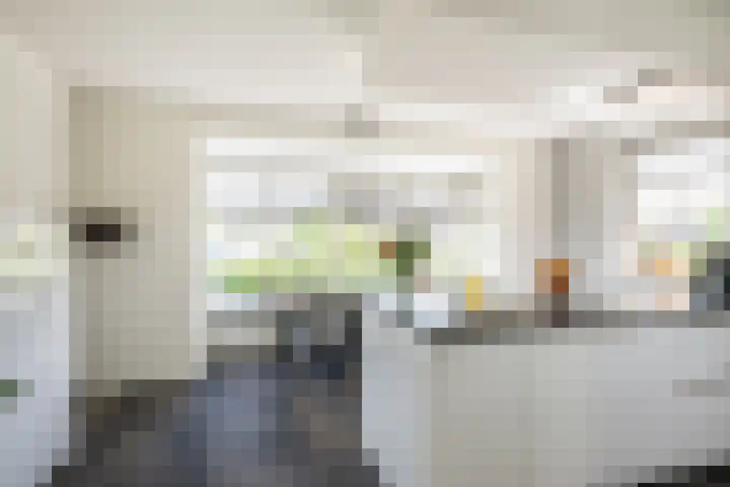 Woestijnzand 9 Naaldwijk thumbnail 15