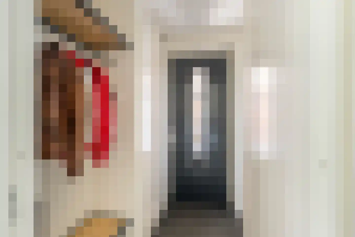 Woestijnzand 9 Naaldwijk thumbnail 17