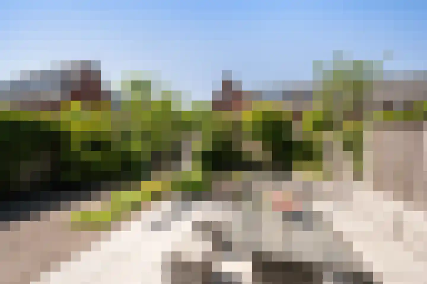 Woestijnzand 9 Naaldwijk thumbnail 9