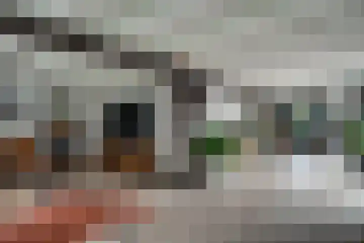 Woeziksestraat 338 A Wijchen thumbnail 18