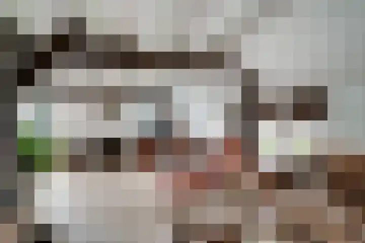 Woeziksestraat 338 A Wijchen thumbnail 19