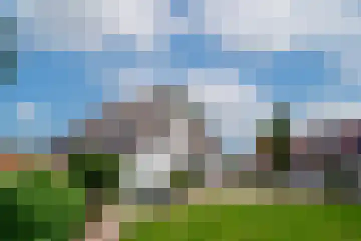 Woeziksestraat 338 A Wijchen thumbnail 43