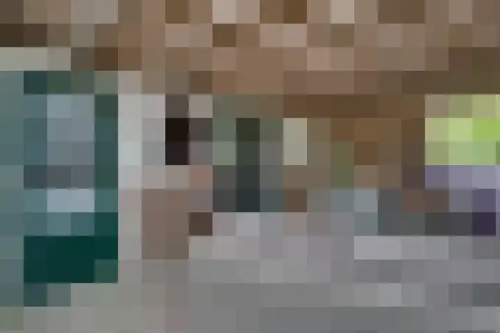 Woeziksestraat 338 A Wijchen thumbnail 48